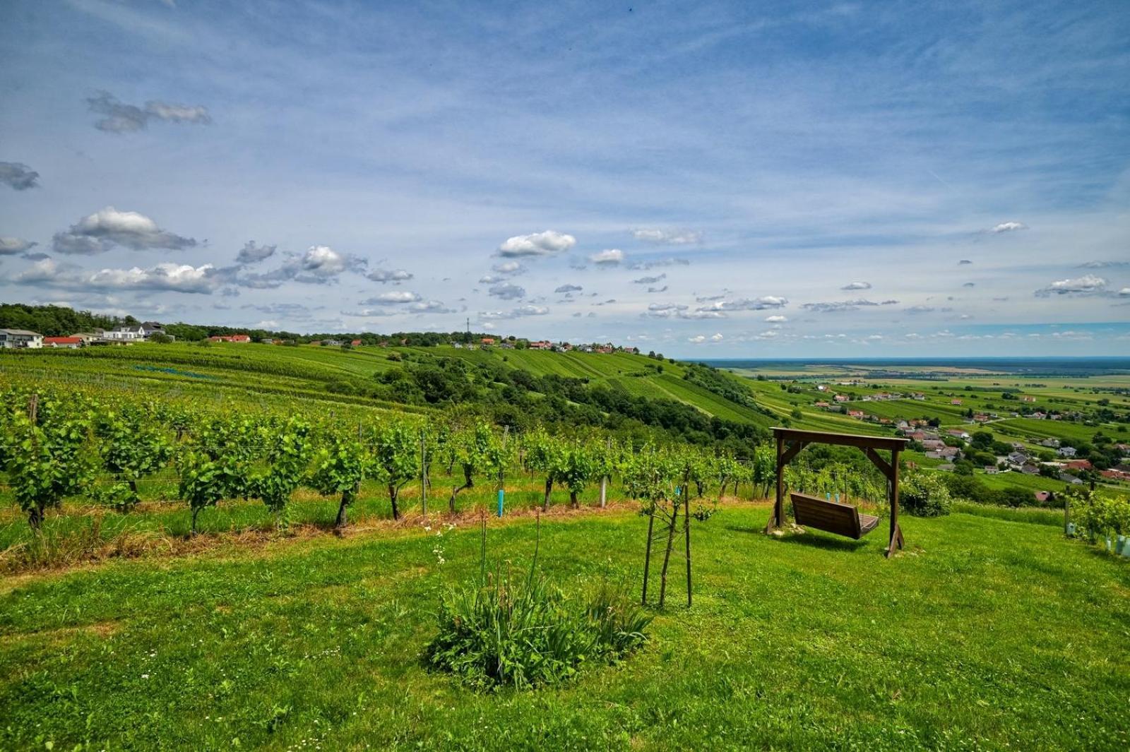 Вилла Kellerstoeckl Am Berg Eisenberg an der Pinka Экстерьер фото